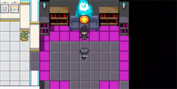 宝可梦我的迷之规则(10)