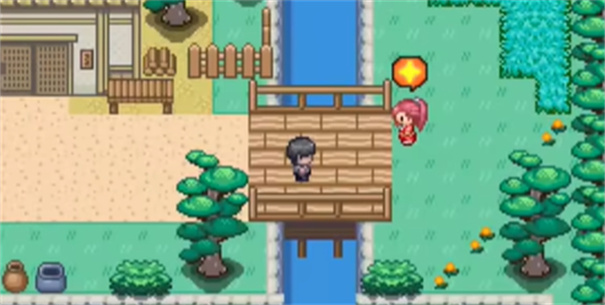 宝可梦我的迷之规则(13)