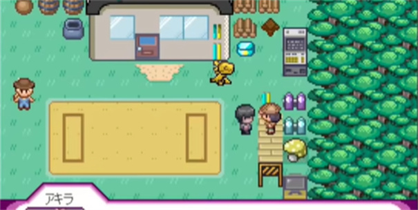 宝可梦我的迷之规则(12)