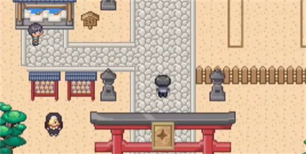 宝可梦我的迷之规则(15)