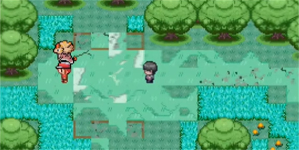 宝可梦我的迷之规则(20)