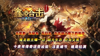 鑫凌合击图1