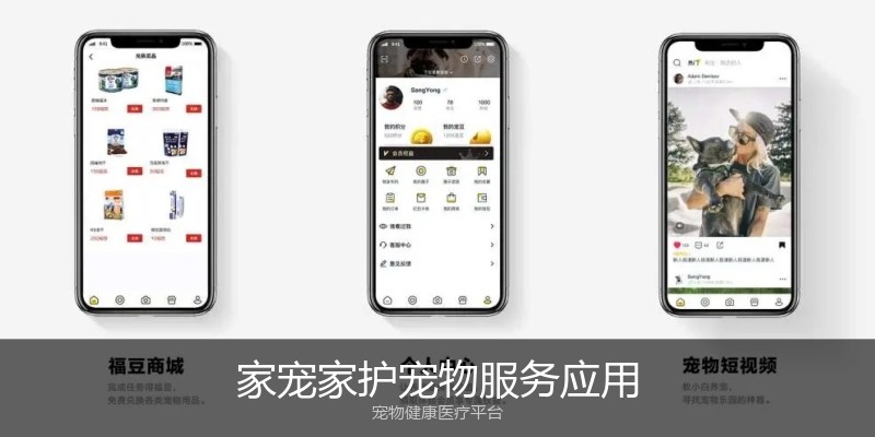 家宠家护宠物服务应用