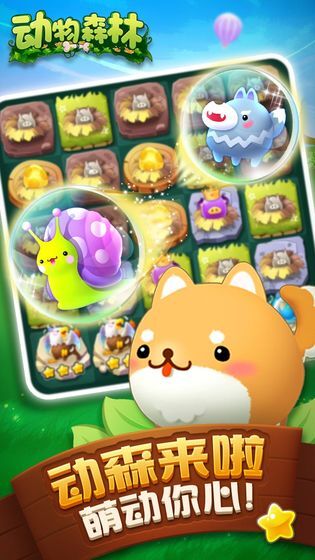 动物森林(1)