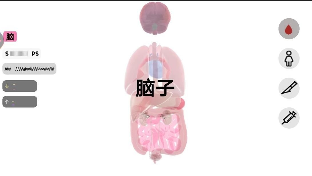 人体细胞模拟器(1)