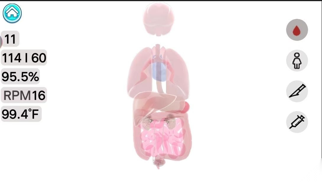 人体细胞模拟器(2)