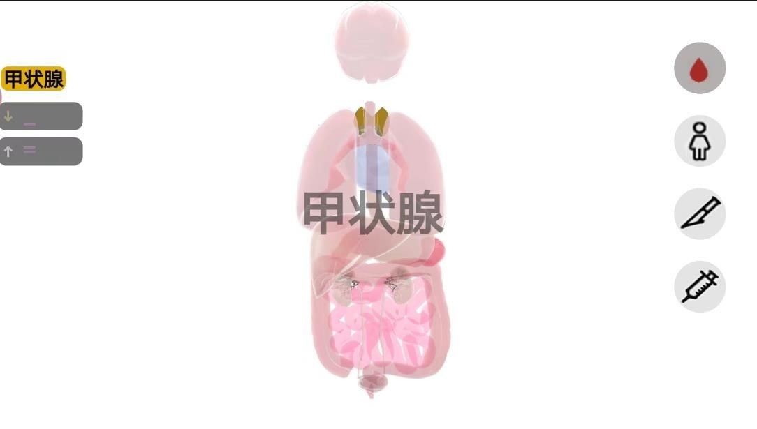 人体细胞模拟器(3)