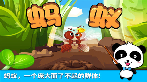 宝宝认蚂蚁(3)