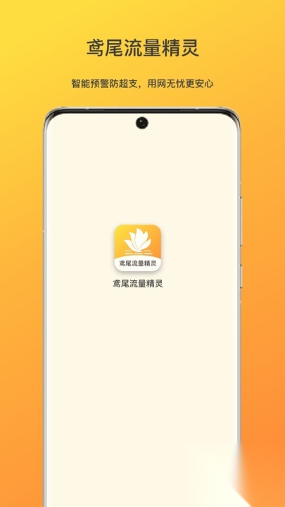 鸢尾流量精灵(4)