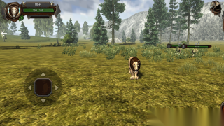 狂野狮子模拟图2