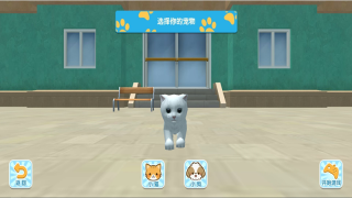 我的猫咪世界(2)