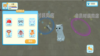 我的猫咪世界(3)