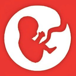 扭蛋人生俱乐部