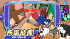 奇妙猫猫王国(1)