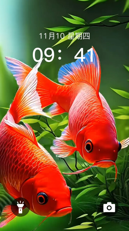 动态养鱼壁纸(2)
