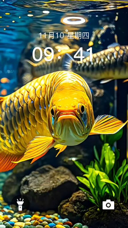 动态养鱼壁纸(3)