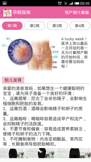 孕期全程日历(1)