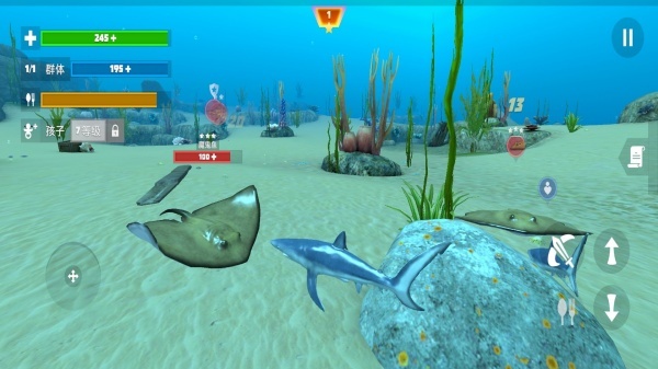 大鲨鱼吃小鱼(2)