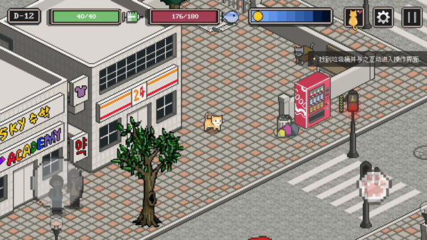 流浪猫的故事图1