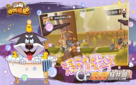 狗狗呼叫喵星(2)