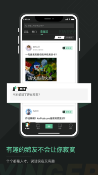 硬鹅图4