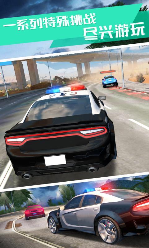 警察追捕行动(1)