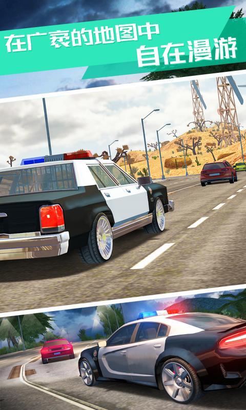 警察追捕行动(3)