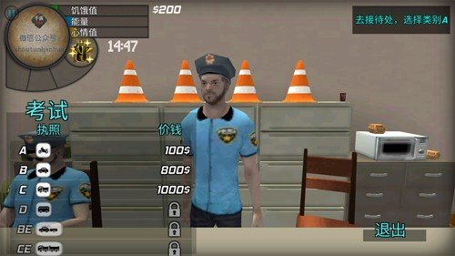 大城市生活模拟器(2)