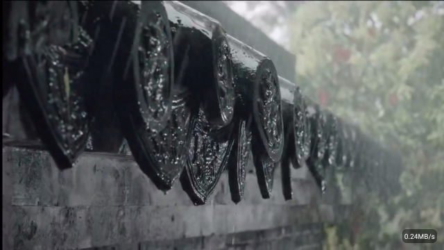 彩虹飞鸟稳定版(1)