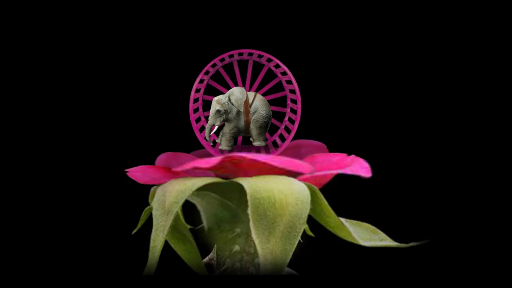 开局一颗种子图3