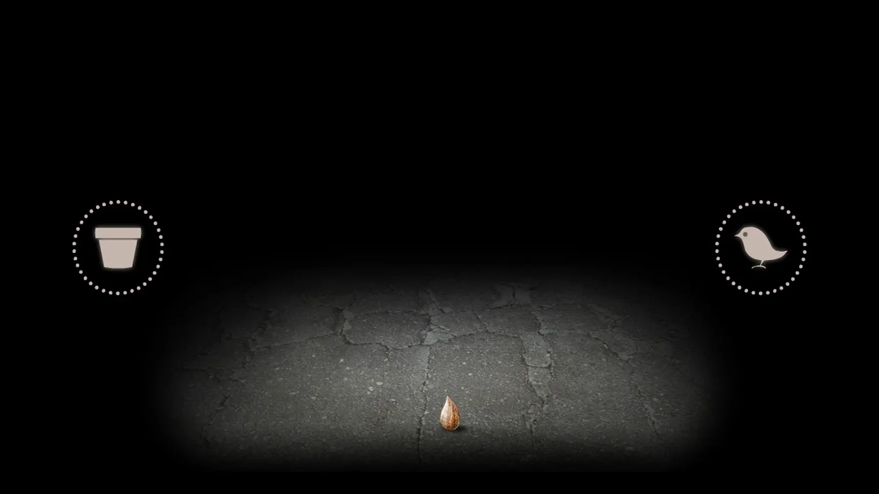 开局一颗种子图2