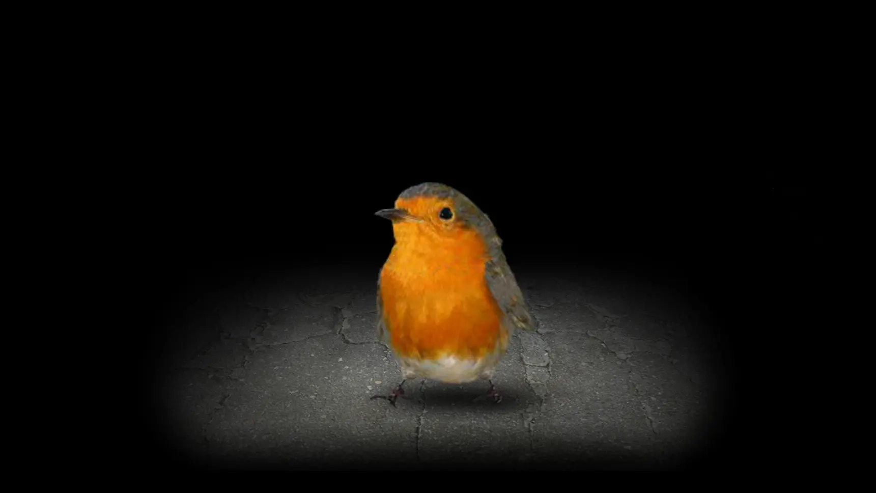 开局一颗种子图5