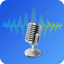 和平开黑变声器