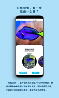 看鱼图5