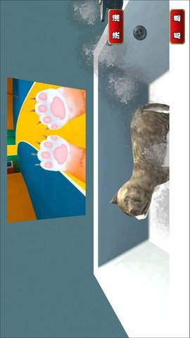 猫猫日常模拟(3)