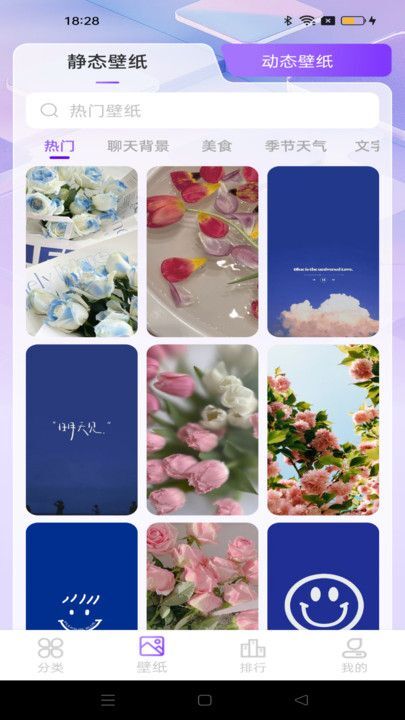 元汽动态壁纸(1)