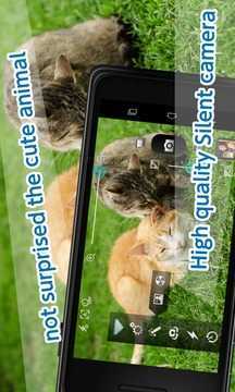 无声相机(SilentCamera) 图3