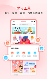 红逗号图2