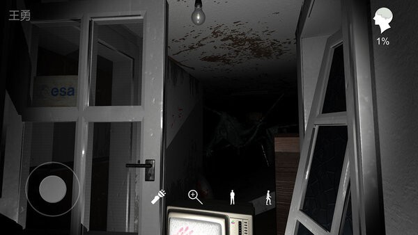 孙美琪疑案王勇图4