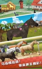 马场模拟器(1)