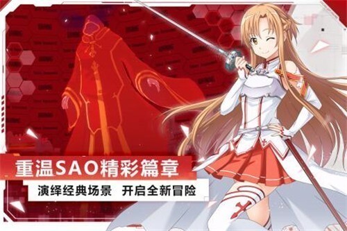 刀剑神域黑衣剑士王牌(2)