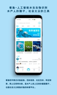 看鱼图1