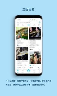 看鱼图3