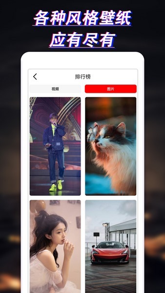 布丁壁纸大全(3)