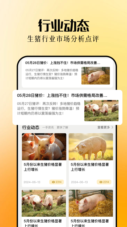 欢乐养猪场截图4