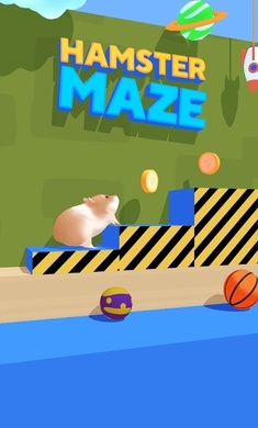仓鼠迷宫(1)