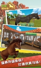 马场模拟器(3)