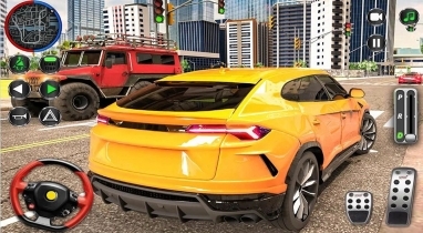 真实竞速赛车(1)