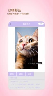 全能美日相机(1)