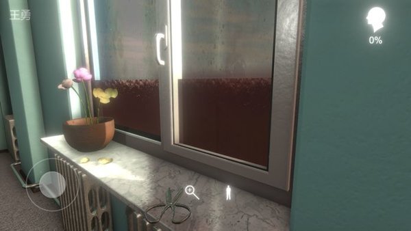 孙美琪疑案阿加塔(3)